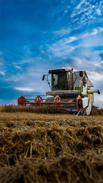 Header working in wheat field